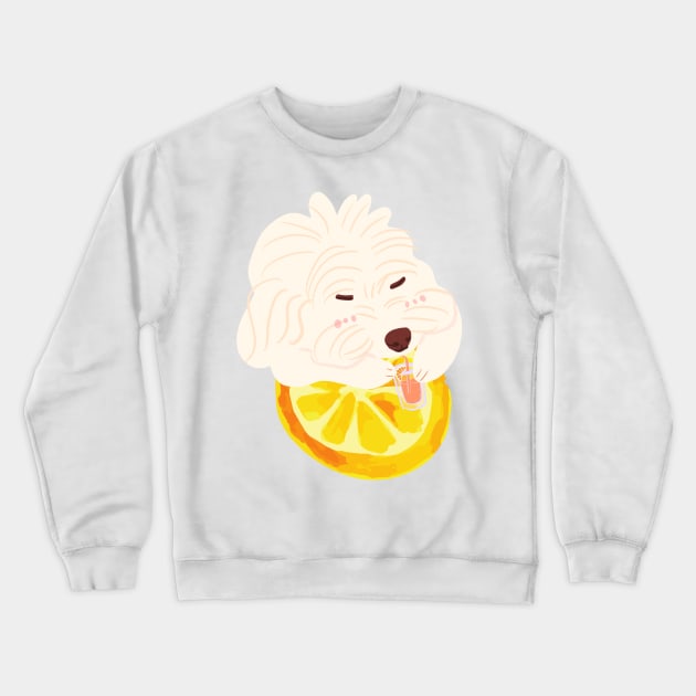 Maltipoo Drinking Orange Juice Crewneck Sweatshirt by PatternbyNOK